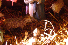 Christmas Day Mass 2012